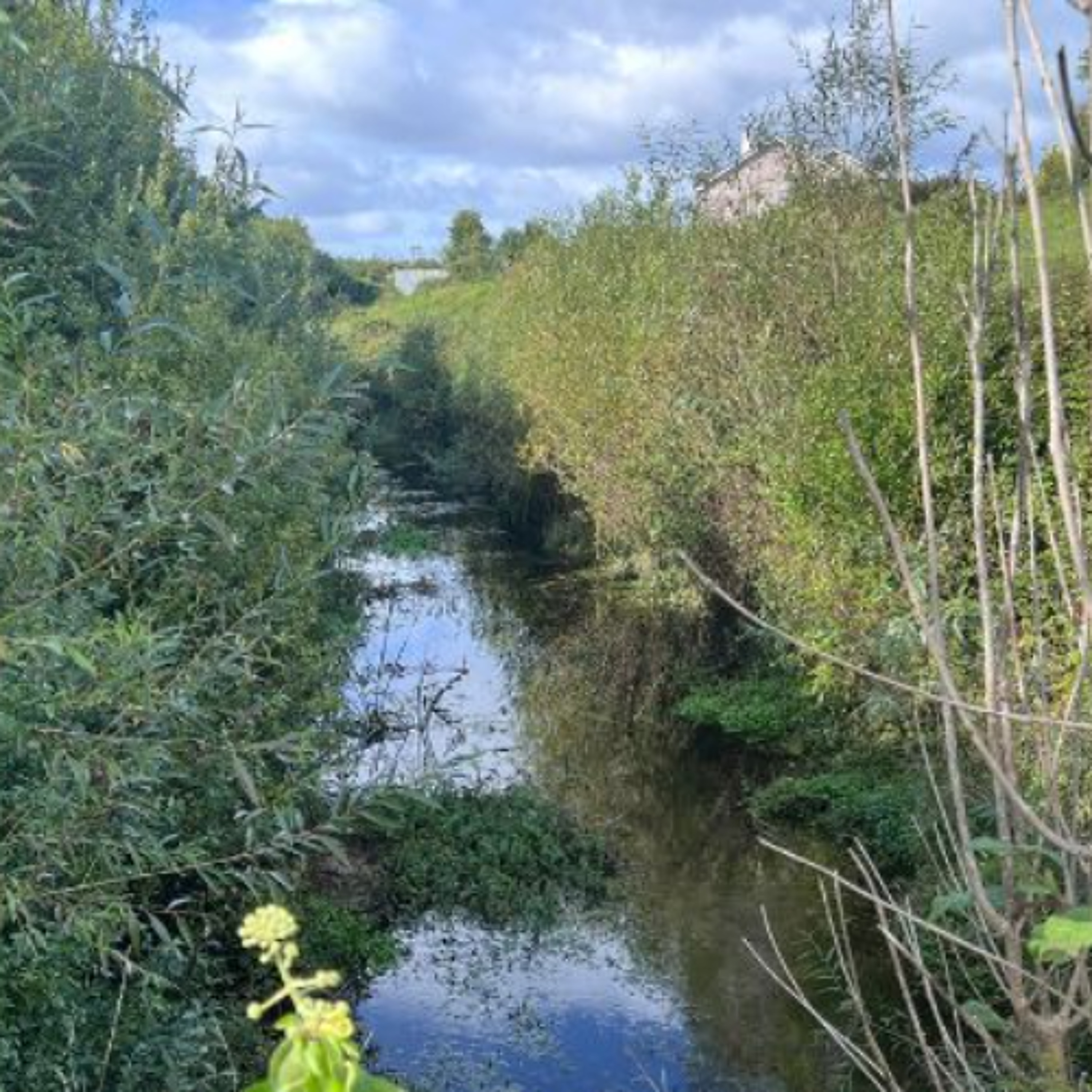 EPA Warns of Water Quality Decline In Ireland’s Cleanest Rivers
