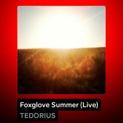 Foxglove Summer (Live)