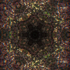 Quantum|realm 53bpm ans.3- fl + fs tst.5