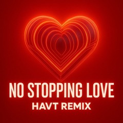 DIRTY PALM - NO STOPPING LOVE [HAVT Remix]