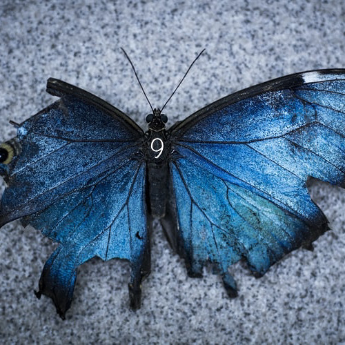 🦋Ulysses - AFTER 9, Afterlife Inspired Mix (04 - 2021)
