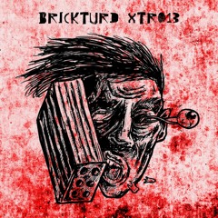 PREMIERE: Brickturd - Sturdy (PLEXØS Remix) [XTR013]