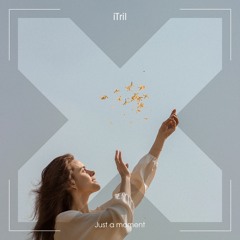 iTril - Just a moment