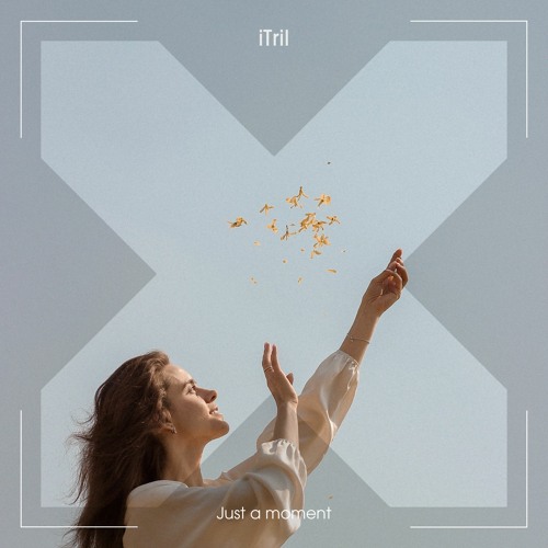 iTril - Just a moment