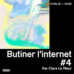 Butiner L'internet #4 - par Clara Le Meur