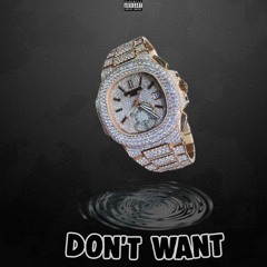 DON"T WANT Feat LSK (PROD AB)