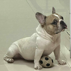 De Nho Mot Thoi Ta Da Yeu - Haozi Remaster