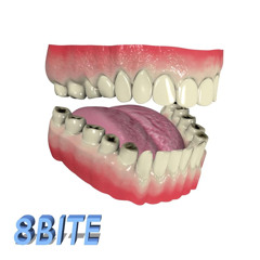 8BITE