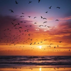 Birds in the sky
