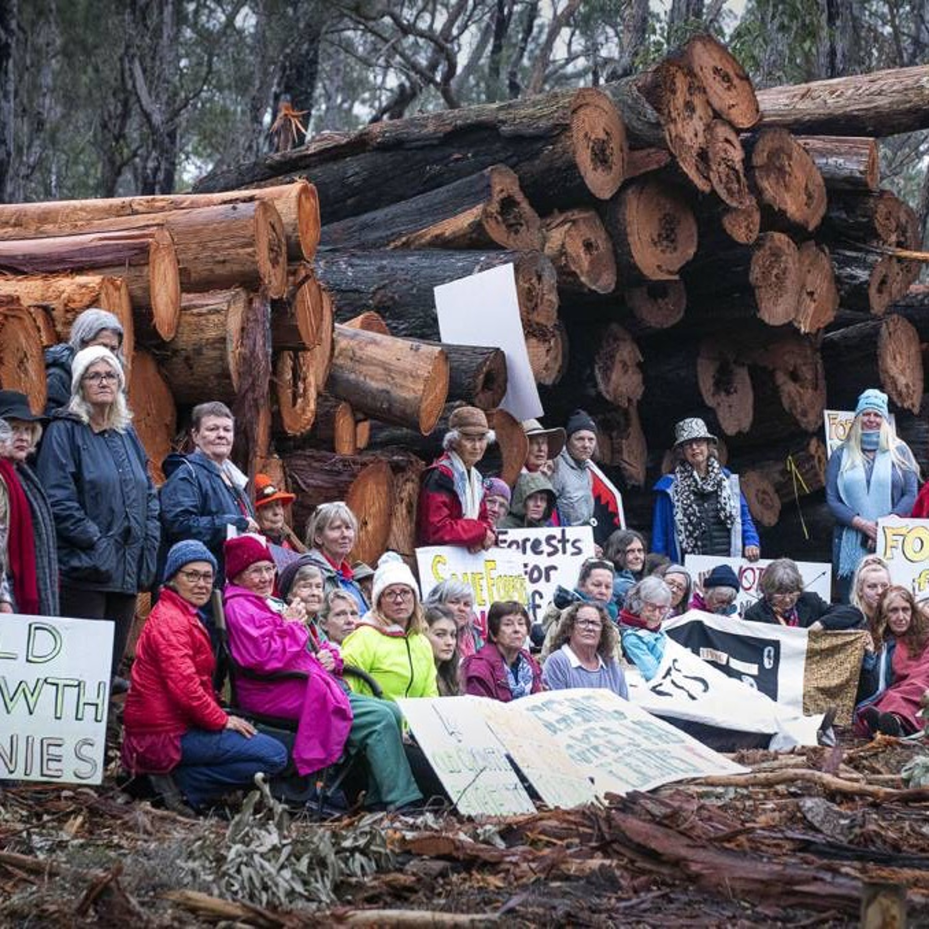 End Native Logging - Paddy Cullen