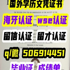 海牙认证 毕业证 成绩单 学位证 Q/微：506914451留信认证官网可查 diploma degree transcript ielts  WSE ID offer