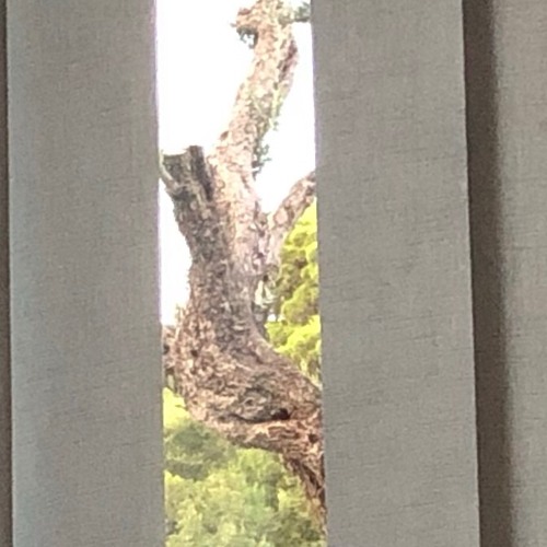 Concrete In Lisamin Rough Cut By For A Rainy Day