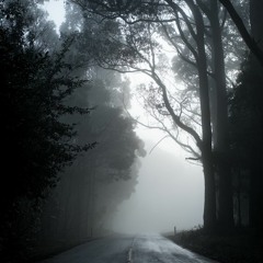 In The Darkness