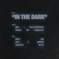 DEV - In The Dark (1000CUTS REMIX)