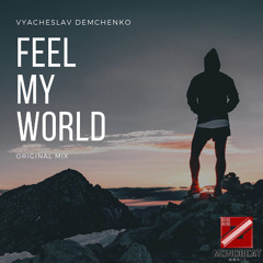Vyacheslav Demchenko - Feel My World (Original Mix)