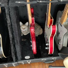 Shoegaze, dreampop & psych playlist #258*