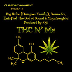 THC N' Me (feat. Big Rube, Entrfied The God of Sound & Maya Songbird)
