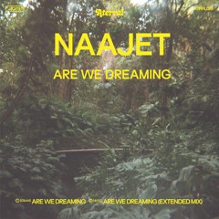 PREMIERE: Naajet - Are We Dreaming (Extended)[Aterral]