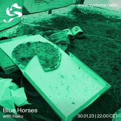 pizza break ll Blue Horses #5