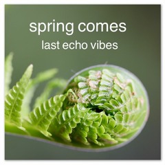 25.3.24