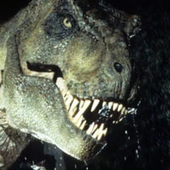 JUDO-GT - T-REX