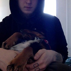 печаль моя светла (янка дягилева cover)