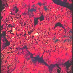 Painkillers For Free