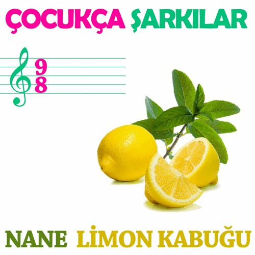 NANE LİMON KABUĞU