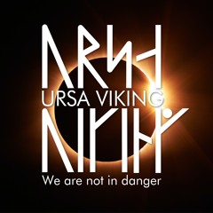 We Are Not In Danger