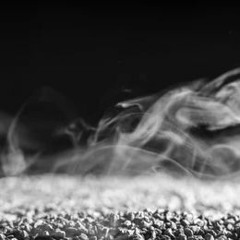 Paranormal Behavior [FREE DOWNLOAD]