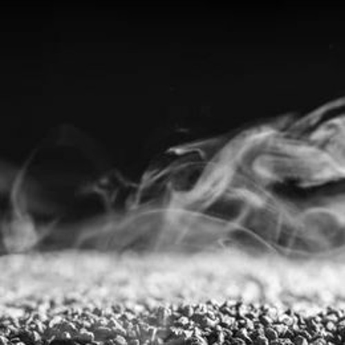 Paranormal Behavior [FREE DOWNLOAD]
