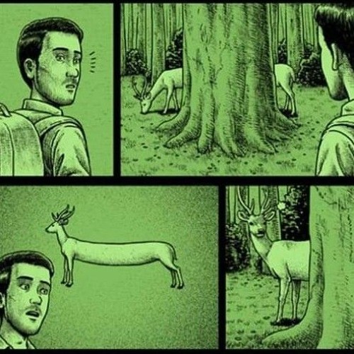 Quarzen mit Otto und Hannelore @Club-U 🐈🎶🌈