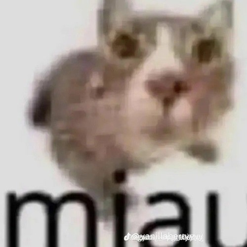 my favorite song dumpster.