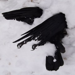 never more: magia pra entender o irreversível