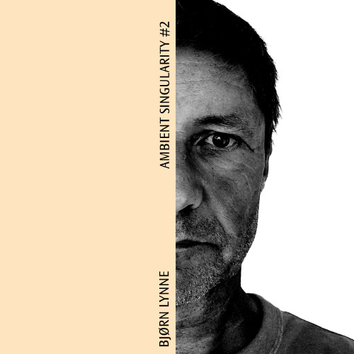 Ambient Singularity #2