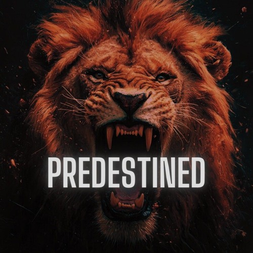 Cyber Panic - Predestined (SET)
