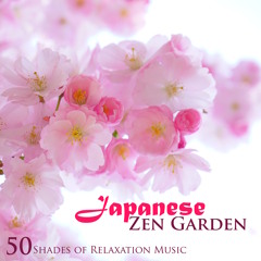 Cherry Blossom