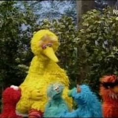 DMC Quincy - Big Bird