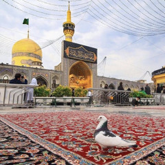 ‎⁨اروحن للرضا واليوم ادك بابه - خالد الغزالي⁩