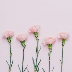 You're Still The One - Shania Twain [Cover by Eyyes]