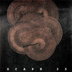 SCAPE 35
