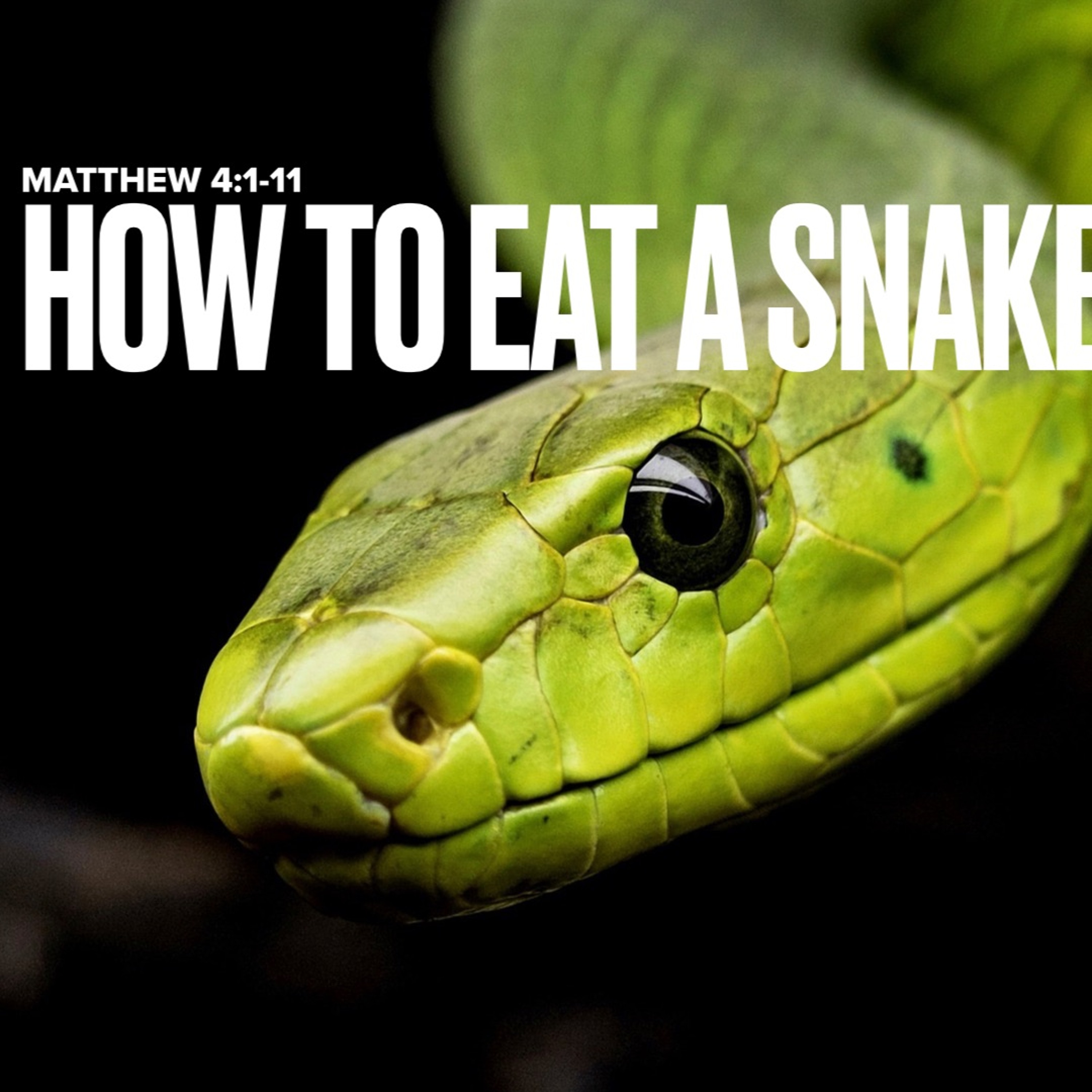 How to Eat a Snake, 2-26-2023 episode artwork