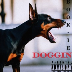 DOGGiN