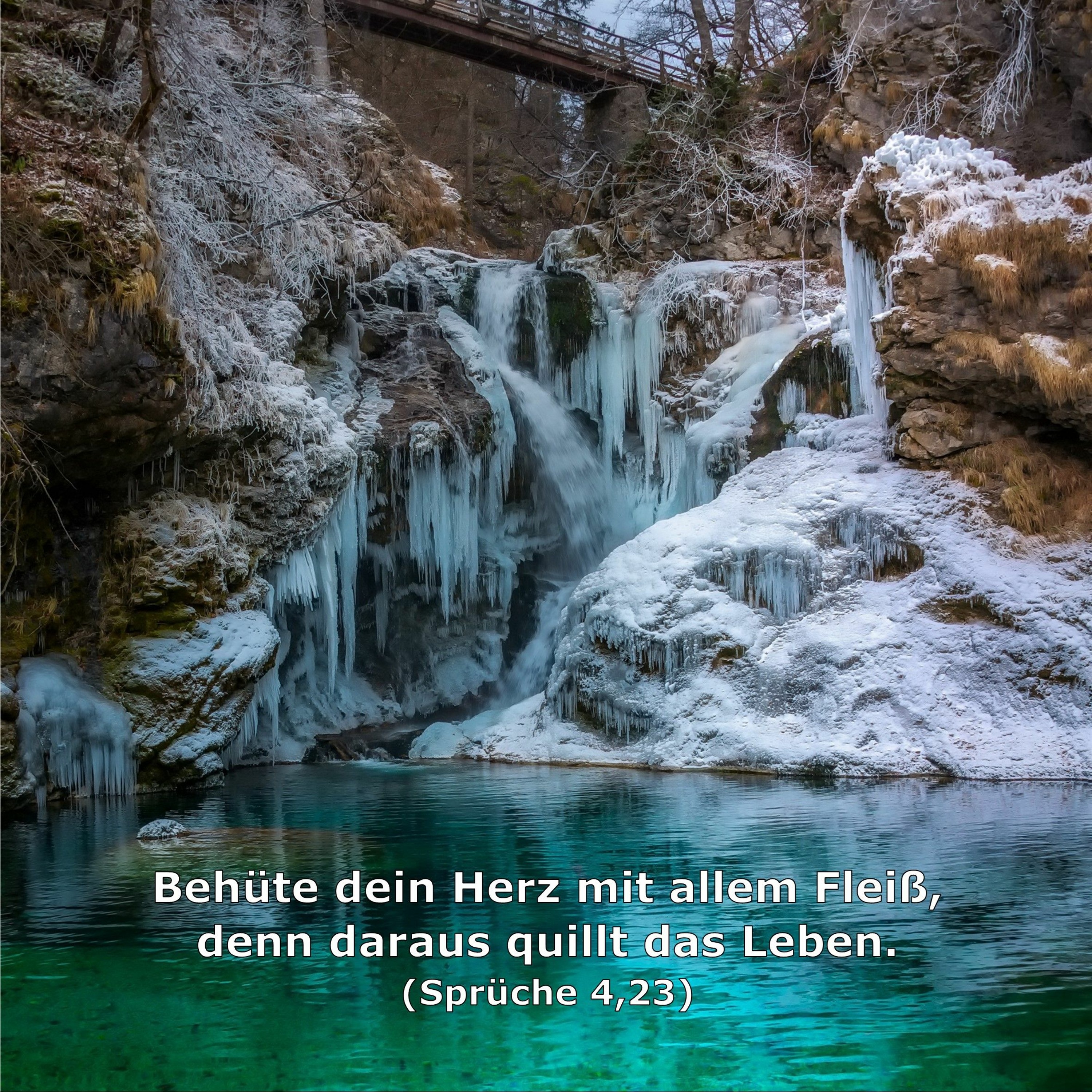 In einem Jahr durch die Bibel