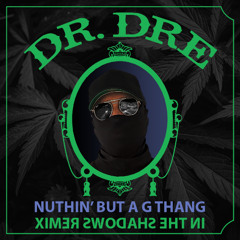 Nuthin' But A "G" Thang (In The Shadows Remix)