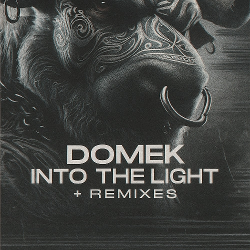 Domek - Into the Light (Original Mix)