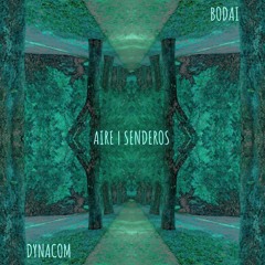 02 Dynacom & Bodai - Aire (Original Mix) [AMITABHA]