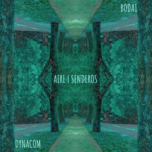 02 Dynacom & Bodai - Aire (Original Mix) [AMITABHA]