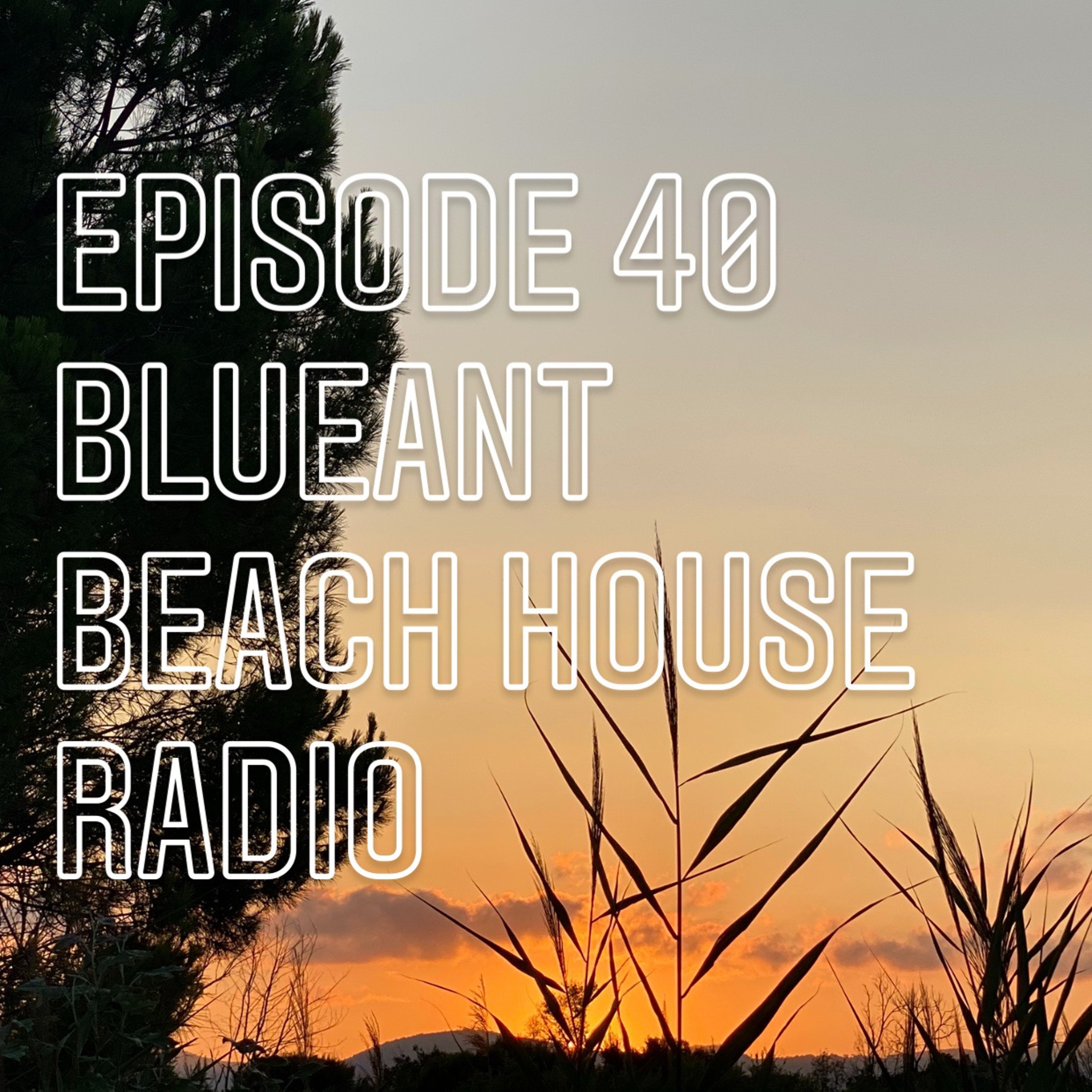 BlueAnt Beach House Radio