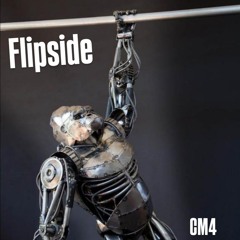 Flip Side (Sample edit)